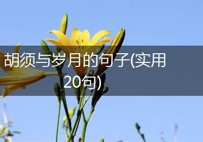 胡须与岁月的句子(实用20句)