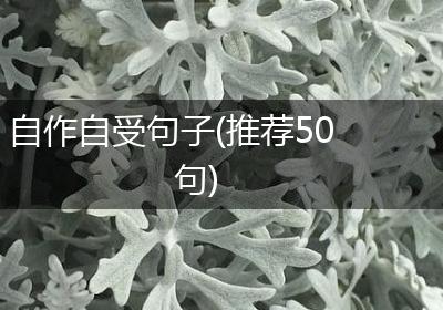 自作自受句子(推荐50句)