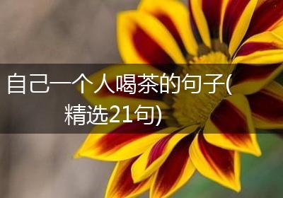 自己一个人喝茶的句子(精选21句)