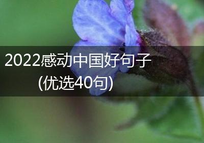 2022感动中国好句子(优选40句)