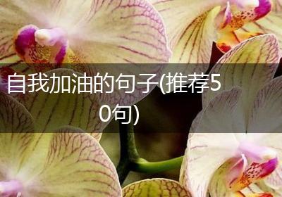 自我加油的句子(推荐50句)