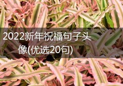 2022新年祝福句子头像(优选20句)