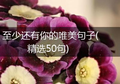 至少还有你的唯美句子(精选50句)
