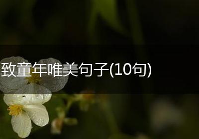 致童年唯美句子(10句)