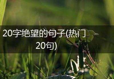 20字绝望的句子(热门20句)