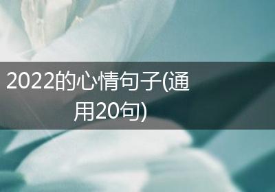 2022的心情句子(通用20句)