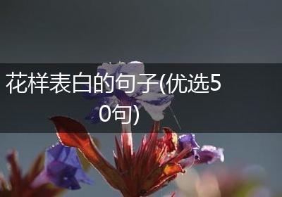 花样表白的句子(优选50句)