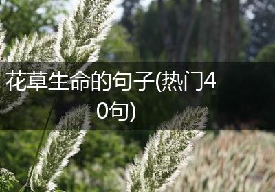 花草生命的句子(热门40句)