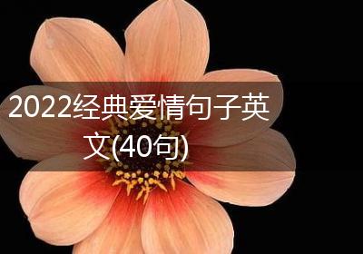 2022经典爱情句子英文(40句)