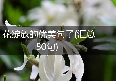 花绽放的优美句子(汇总50句)