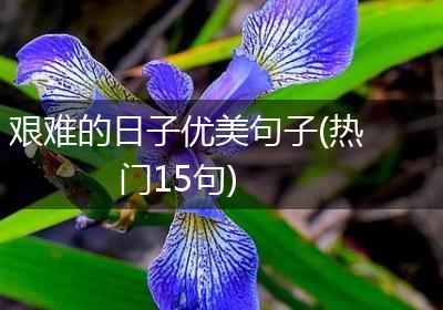 艰难的日子优美句子(热门15句)
