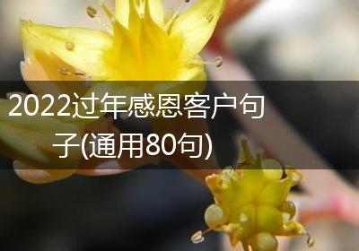 2022过年感恩客户句子(通用80句)