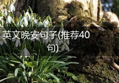 英文晚安句子(推荐40句)