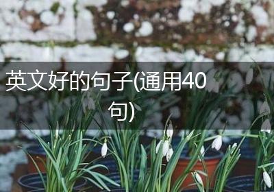 英文好的句子(通用40句)