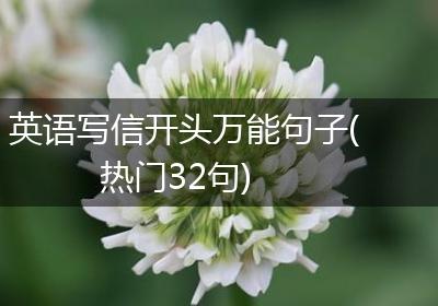 英语写信开头万能句子(热门32句)