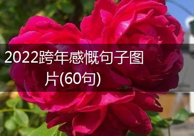 2022跨年感慨句子图片(60句)