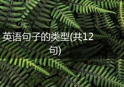 英语句子的类型(共12句)