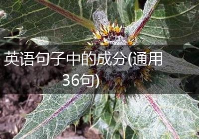 英语句子中的成分(通用36句)