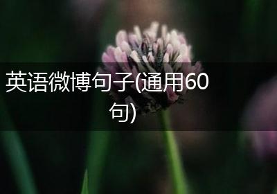 英语微博句子(通用60句)