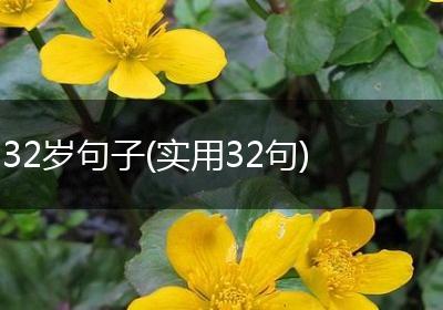 32岁句子(实用32句)