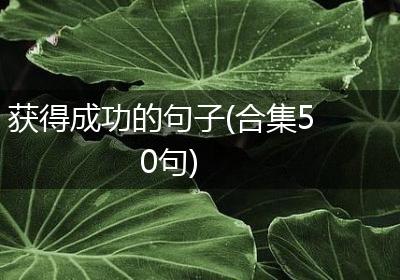 获得成功的句子(合集50句)