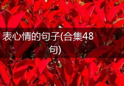 表心情的句子(合集48句)