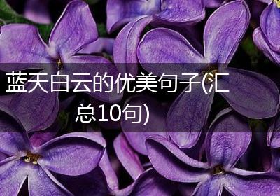 蓝天白云的优美句子(汇总10句)