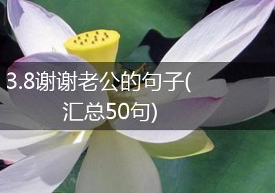 3.8谢谢老公的句子(汇总50句)