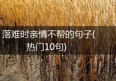 落难时亲情不帮的句子(热门10句)