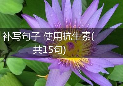 补写句子 使用抗生素(共15句)