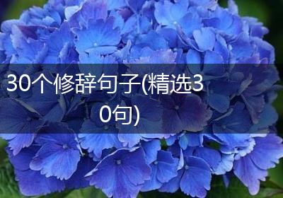 30个修辞句子(精选30句)