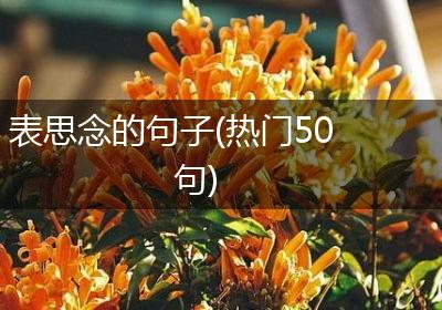表思念的句子(热门50句)
