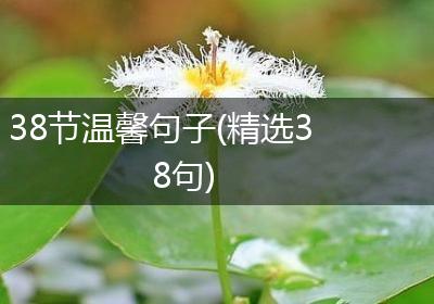 38节温馨句子(精选38句)
