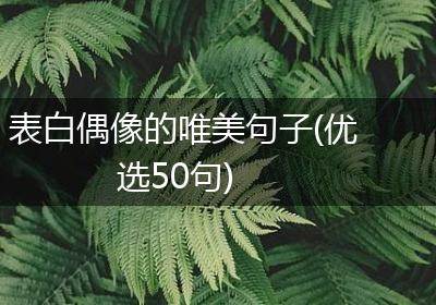 表白偶像的唯美句子(优选50句)