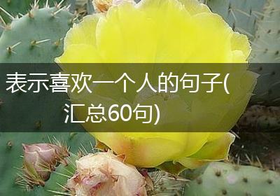 表示喜欢一个人的句子(汇总60句)