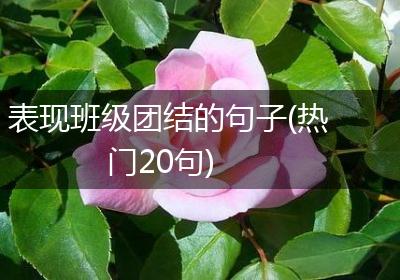 表现班级团结的句子(热门20句)