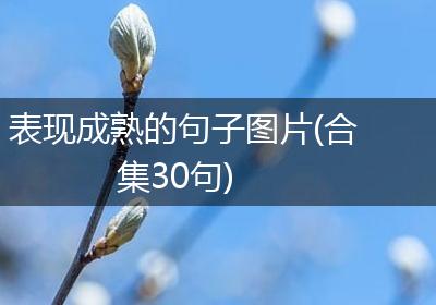 表现成熟的句子图片(合集30句)