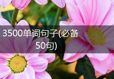 3500单词句子(必备50句)