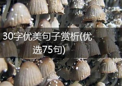 30字优美句子赏析(优选75句)