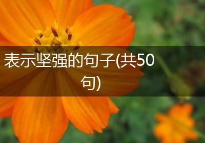 表示坚强的句子(共50句)