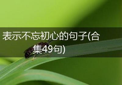 表示不忘初心的句子(合集49句)
