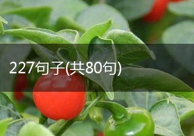 227句子(共80句)
