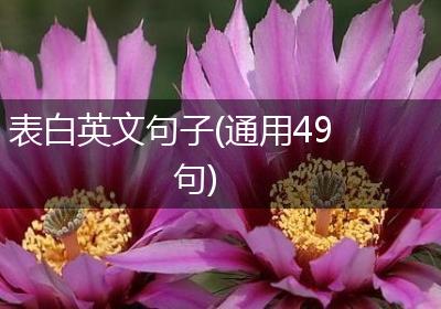 表白英文句子(通用49句)