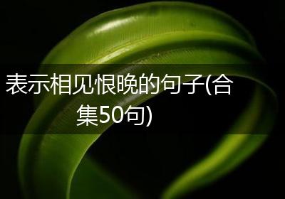 表示相见恨晚的句子(合集50句)