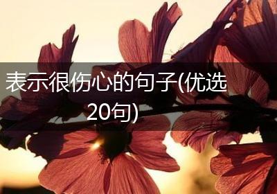 表示很伤心的句子(优选20句)