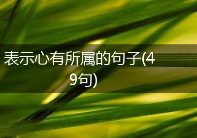 表示心有所属的句子(49句)