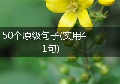 50个原级句子(实用41句)