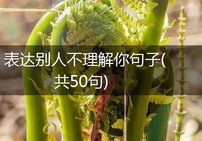 表达别人不理解你句子(共50句)