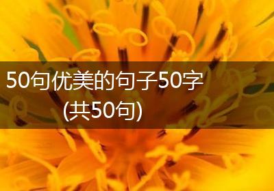 50句优美的句子50字(共50句)