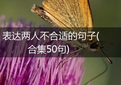 表达两人不合适的句子(合集50句)